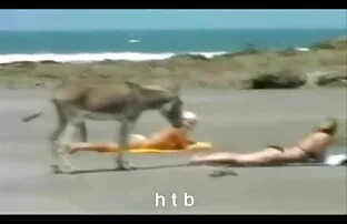 Una cagna matura video hard italiani gratuiti con un culo stupendo succhia un grosso cazzo e lecca un culo per un uomo